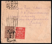1918 (18 Dec) Ukraine, Cover from Kharkov (Kharkiv) to Novyi Buh franked with 20sh and 50sh UNR