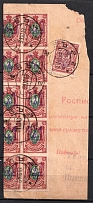 1918 (31 Oct) Part of Money transfer from Kiev, multiple franked with 5k and 35k Kiev (Kyiv) Type 2a and 2d (CV $100+)