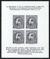 Philatelic Exhibition, Belgium, Stock of Cinderellas, Non-Postal Stamps, Labels, Advertising, Charity, Propaganda, Souvenir Sheet