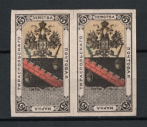 1887 5k Tiraspol Zemstvo, Russia (Schmidt #4I, Pair, CV $240)