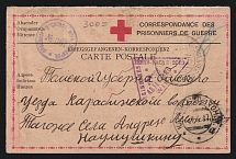 1917 Moscow Censorship, WWI POW Censored postcard from Austria to Karabizhskoe with blue round censor handstamp 'Viewed by censor 361' and Vienna cs