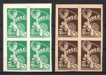 1933 Jamboree Scouts, Budapest, Hungary, Stock of Cinderellas, Non-Postal Stamps, Labels, Advertising, Charity, Propaganda, Blocks of Four (MNH)