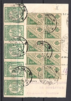 1919 Postal Money Transfer Chechelnik - Olgopol (MIXED Franking Shahi+Russian Savings)