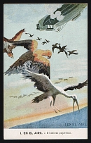 1914-18 'In the air-The hateful birdcock' WWI European Caricature Propaganda Postcard, Europe