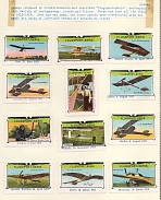 1913-15 Friedrichshafen, Airmail, Germany, Collection of Rare Cinderellas, Non-postal Stamps, Labels, Advertising, Charity, Propaganda (#90)