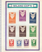 International Exhibition in Milan, Italy, Stock of Cinderellas, Non-Postal Stamps, Labels, Advertising, Charity, Propaganda (#659)
