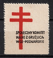 Social Committee to Combat Tuberculosis of Poznan Voivodeship, Poland, Non-Postal, Cinderella