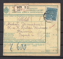 1917 Striy Ukraine Austria Parcel Form of Accompanying Address