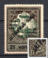 1925 25k Philatelic Exchange Tax Stamps, Soviet Union USSR (BROKEN `C`, `З`, `5`, Type III, Perf 13.25)
